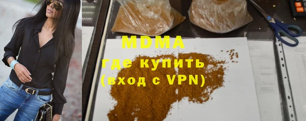 индика Сатка