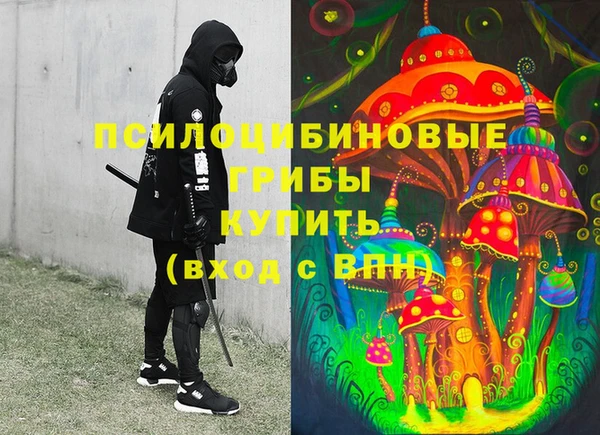 a pvp Саяногорск